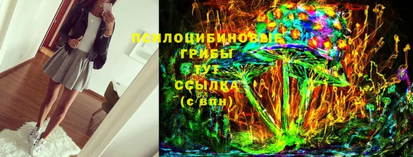 apvp Гусь-Хрустальный