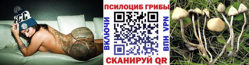 Галлюциногенные грибы Psilocybine cubensis  Купить  Кириллов 
